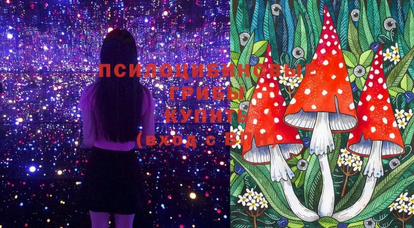 героин Пестово