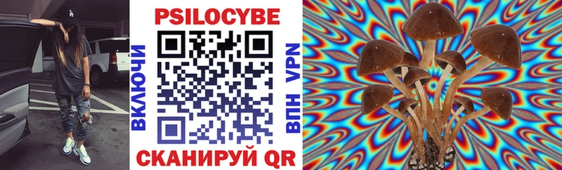 Купить закладки Сланцы Псилоцибиновые грибы прущие грибы